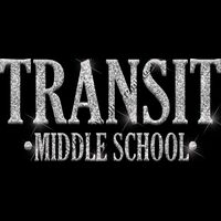 GLT21 SILVER GLITTER Thumbnail