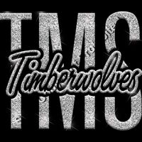 GLT95 SILVER GLITTER Thumbnail