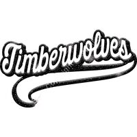 GLT78 BLACK GLITTER Thumbnail